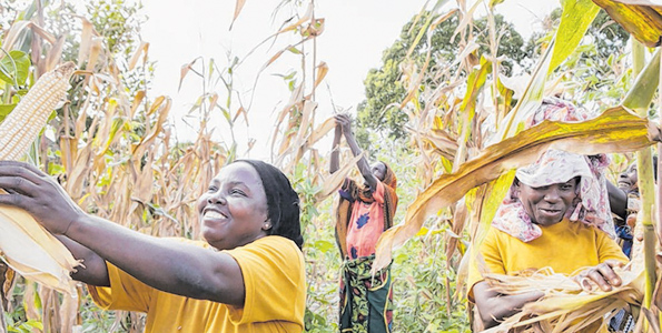 Aga Khan’s lifeline for farmers | The Citizen Tanzania