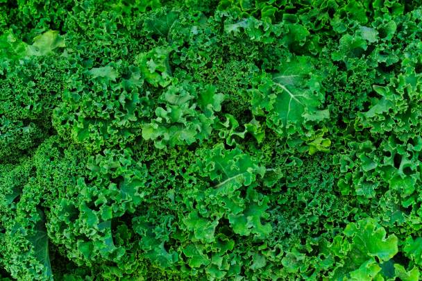 Here are some fruits and vegetables you should cook and those you should eat raw