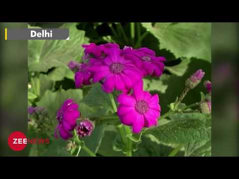 Watch Sunder Nursery in Delhi opens as heritage park