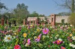 Things To Do in Delhi | Sunder Nursery Near Humayun’s Tomb
