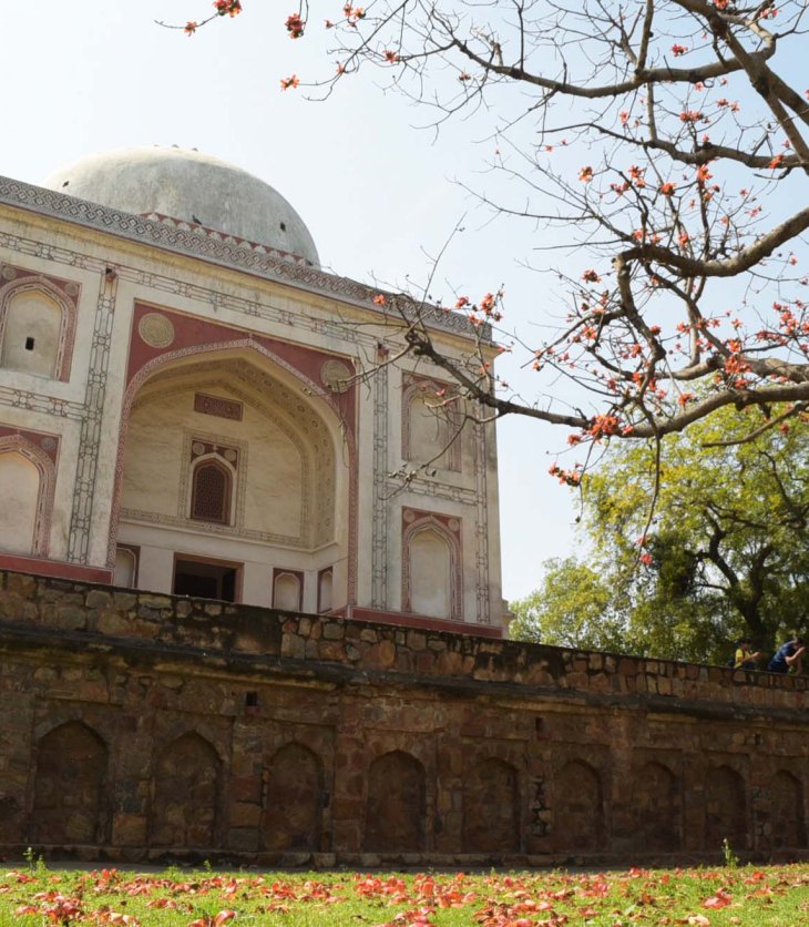 A Photo-Essay that takes a close look at the newly-renovated Sunder Nursery