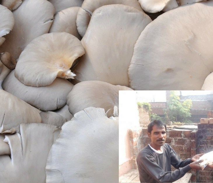 Aga Khan Foundation Lehar Project in India - Aimed at empowering girls, improving quality of life