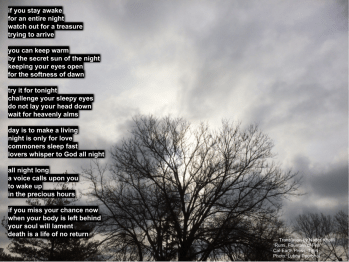 If you stay awake - Rumi