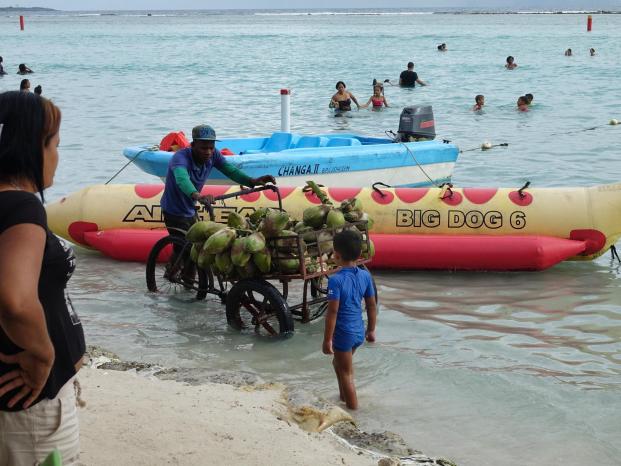 ../Dropbox/Photos/Processed%20Pics/Jasc%20Paint%20Shop%20Photo%20Album%20Images/Dominican%20Republic%20Dec%2017%20-%20Jan%2018/dsc05202_l