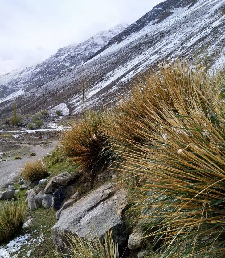 Impacts of Global Climate Change in Chipurson Valley