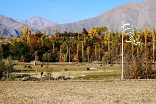 Aga Khan Foundation: 14,000 tourists visited Badakhshan last year