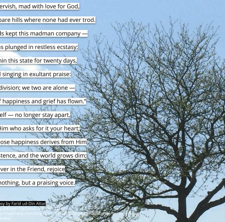 There’s no division | Attar