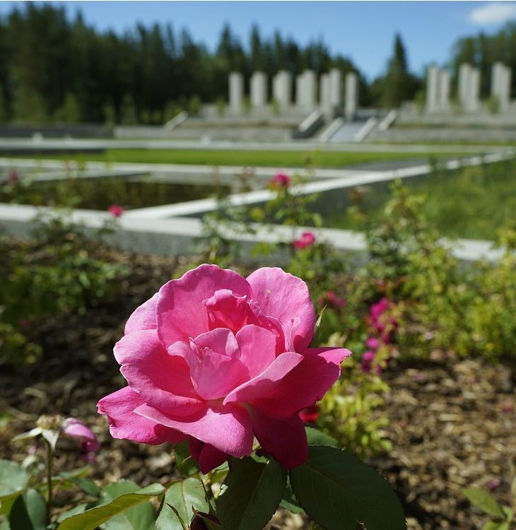 Paula Simons: 'No person leaves unchanged': New Aga Khan Garden a gift of paradise