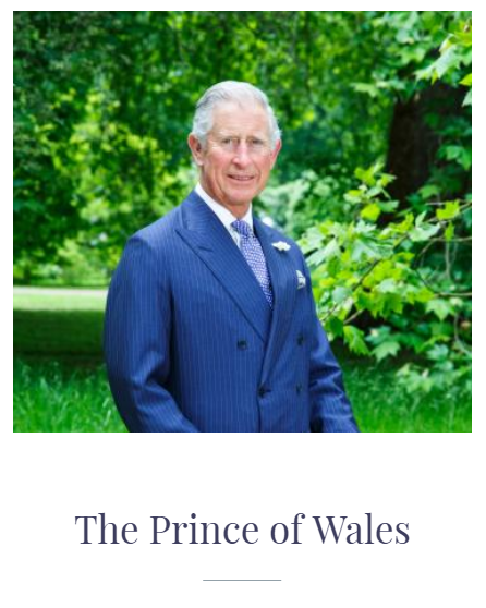 Diary: The Prince of Wales