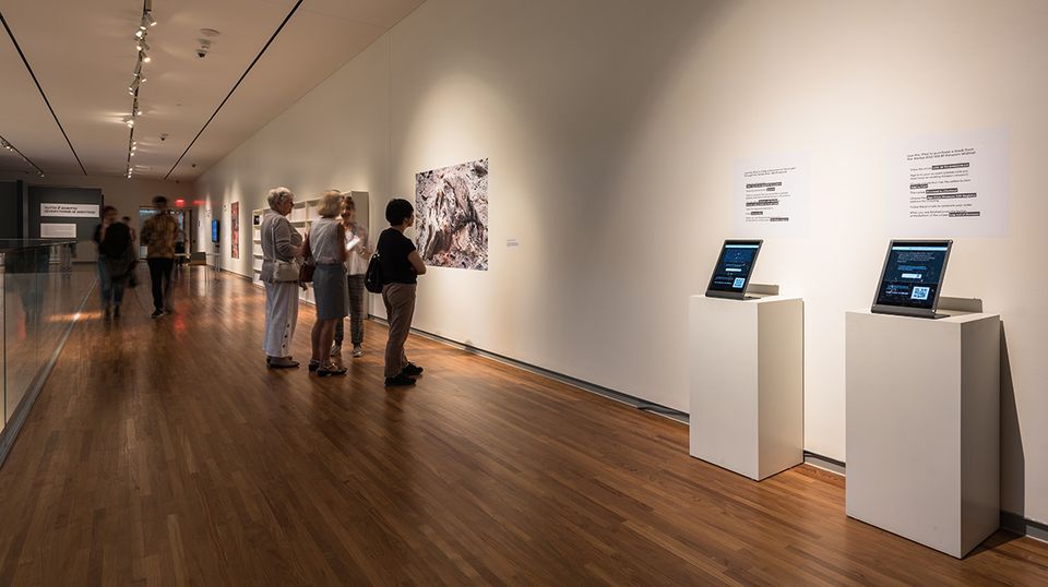 Art installation in Canada helps rebuild burnt-out library in Iraq