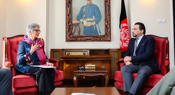 akdn diplomatic representative calls on deputy foreign minister