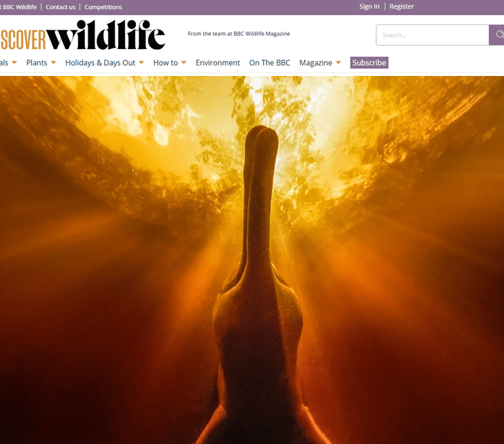 Prince Hussain Aga Khan, UPY2025 Portrait – runner up - BBC Wildlife