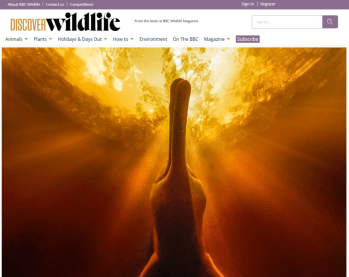 Prince Hussain Aga Khan, UPY2025 Portrait – runner up - BBC Wildlife